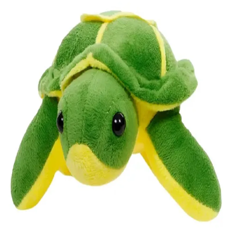 taddy turtle big